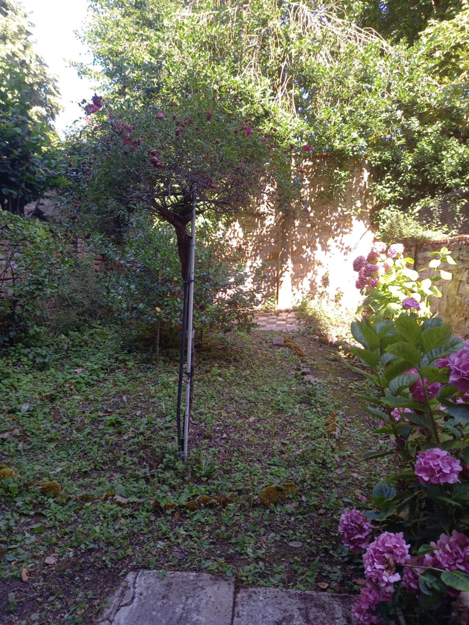 La Teranga De Kadi & Cathy, Avec Jardin Privatif Apartamento Nancy Exterior foto